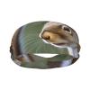 Little Squirrel Sports Headbands for Men and Women, Moisture-Wicking Sweatbands view 3