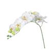 Alipis Artificial Orchid for Weddings, 8 Flowers, White, Flexible view 1