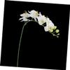 Alipis Artificial Orchid for Weddings, 8 Flowers, White, Flexible view 2