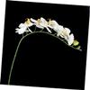 Alipis Artificial Orchid for Weddings, 8 Flowers, White, Flexible view 4