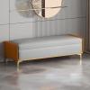 Storage Bench with Soft Faux-Leather Upholstery and Hidden Storage, Bedroom or Living Room Ottoman view 1