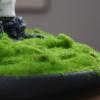 Dh2yjnbf3 Artificial Bonsai Tree, Decorative Green Desktop Plant for Living Room and Indoor Feng Shui Decor view 4