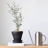 Round Cement Planter with Striped Texture, Drainage Hole and Saucer, Brown view 3