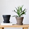 Round Cement Planter with Striped Texture, Drainage Hole and Saucer, Brown view 4