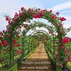 Metal Garden Arch Trellis, Large Rose Arbor for Weddings view 4