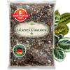 ORAGARDEN Calathea & Maranta Soil for Indoor and Garden Plants, 3 L view 1