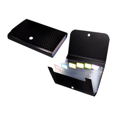 Small Document Folders, 2-Pack, PP, Multilayer