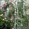 White Metal Garden Arch with Curved Trellis, Freestanding, 300 x 220 cm view 4