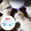 Animal Milk Feeder, 6 Nipples, 2.5 L, Reusable, Large view 2