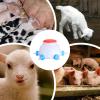 Animal Milk Feeder, 6 Nipples, 2.5 L, Reusable, Large view 4