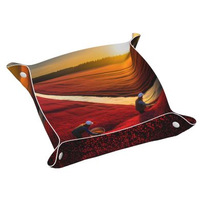 WZYWHJ Leather Catchall Tray for Nightstand, Desk, Vanity, and More, Easy to Clean, Small Lycopene Print