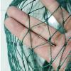 PanHuiWen Bird Protection Garden Net, 1.5 x 1.5 cm Mesh, 1 x 10 m view 1