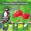 PanHuiWen Bird Protection Garden Net, 1.5 x 1.5 cm Mesh, 1 x 10 m view 2