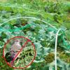 PanHuiWen Bird Protection Garden Net, 1.5 x 1.5 cm Mesh, 1 x 10 m view 3