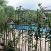 Iron Garden Obelisk Trellis for Climbing Plants, 220 cm Tall view 2