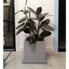 Square Plant Drip Trays, 30.5 cm and 38.1 cm, for Indoor and Outdoor Plants view 4