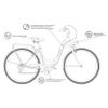 MILORD Women's City Bike, Comfort Retro Holland Bike, Vintage Bicycle, 26/28 in, 7-Speed (Black-Cream, 26 in) view 4