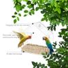 Window Bird Feeder, 15 x 6.5 x 15 cm, Clear Acrylic House Design with 4 Suction Cups view 3