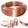 TESUD Copper Wire, Bare Red Copper Wire 99.90%, 1 Meter, 0.5/0.8/1/1.5/2/2.5/3 mm (0.5 mm) view 2