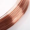 TESUD Copper Wire, Bare Red Copper Wire 99.90%, 1 Meter, 0.5/0.8/1/1.5/2/2.5/3 mm (0.5 mm) view 4