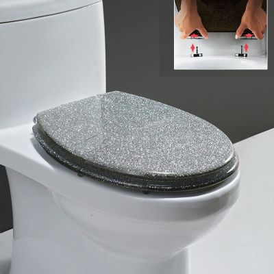 BGFYUSF Glitter Resin Toilet Seat with Soft-Close Lid