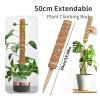 Clenea Reusable Plant Climbing Support, 50 cm view 2