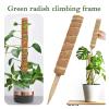 Clenea Reusable Plant Climbing Support, 50 cm view 3