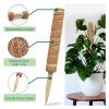 Clenea Reusable Plant Climbing Support, 50 cm view 4