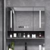 LDTTYRC Smart LED Bathroom Medicine Cabinet with Defogging Mirror view 1