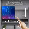 LDTTYRC Smart LED Bathroom Medicine Cabinet with Defogging Mirror view 3