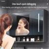 LDTTYRC Smart LED Bathroom Medicine Cabinet with Defogging Mirror view 4