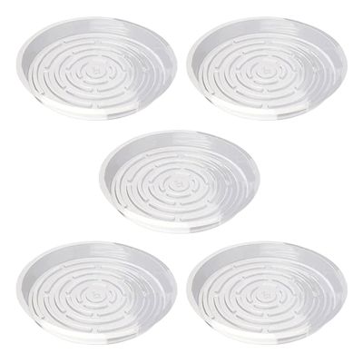Transparent Plant Saucers, 5-Pack