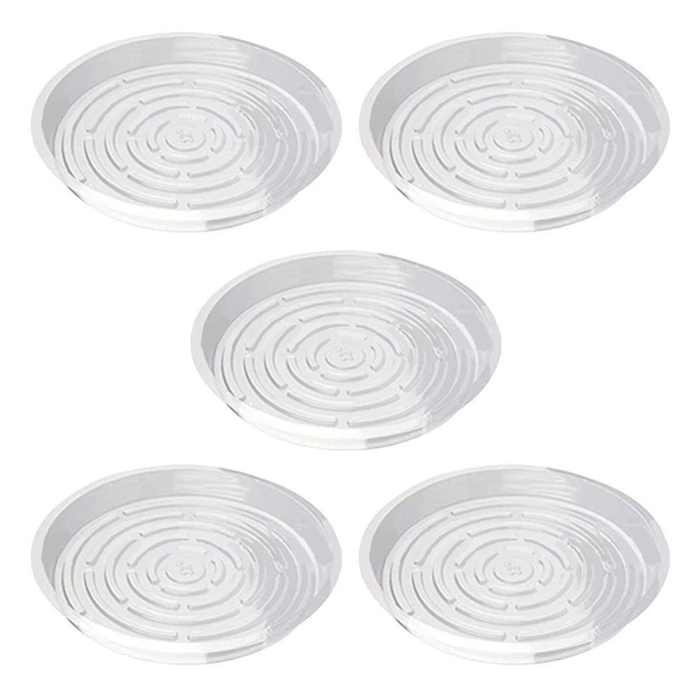 Transparent Plant Saucers, 5-Pack