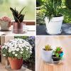 Transparent Plant Saucers, 5-Pack view 3