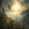 Paint by Numbers Large Sunset Unframed Bird Acrylic Canvas Kit, 70 x 140 cm - YH1026 view 2