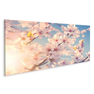 islandburner Canvas Wall Art, Blooming Cherry Blossoms in Sunlight, 120 x 40 cm Panorama