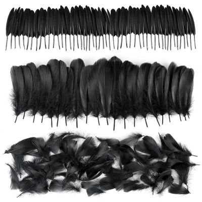 Black Halloween Feathers, 250 Pieces, Natural Goose Feathers for Crafts and Decorations