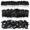 Black Halloween Feathers, 250 Pieces, Natural Goose Feathers for Crafts and Decorations view 1