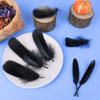 Black Halloween Feathers, 250 Pieces, Natural Goose Feathers for Crafts and Decorations view 2