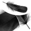 Black Halloween Feathers, 250 Pieces, Natural Goose Feathers for Crafts and Decorations view 4
