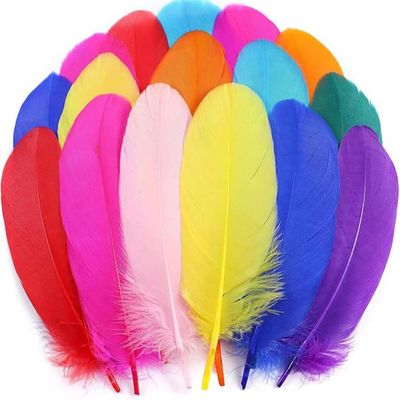 Colorful Natural Goose Feathers for Crafts, 6–12 cm, Multicolor