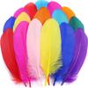 Colorful Natural Goose Feathers for Crafts, 6–12 cm, Multicolor view 1