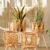 Mumuve Rattan Indoor Plant Stand, Straw-Woven Flower Holder Stool with Legs, Floor Planter Basket Rack, Wooden Plant view 4