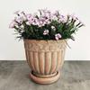 Wavy Studio Rustic Terracotta Flower Pot, 20.3 cm, with Saucer and Embossed Rose Pattern view 2