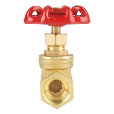 DN15 Brass Gate Valve, BSPP G1/2, 232 PSI
