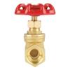 DN15 Brass Gate Valve, BSPP G1/2, 232 PSI view 1