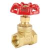 DN15 Brass Gate Valve, BSPP G1/2, 232 PSI view 2