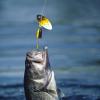 360-Degree Rotating Fishing Spinnerbaits view 2
