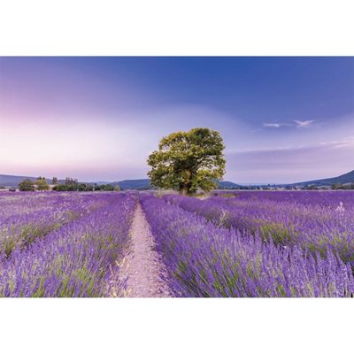 Xiaoterna 4.5 x 3 m Lavender Manor House Photography Backdrop