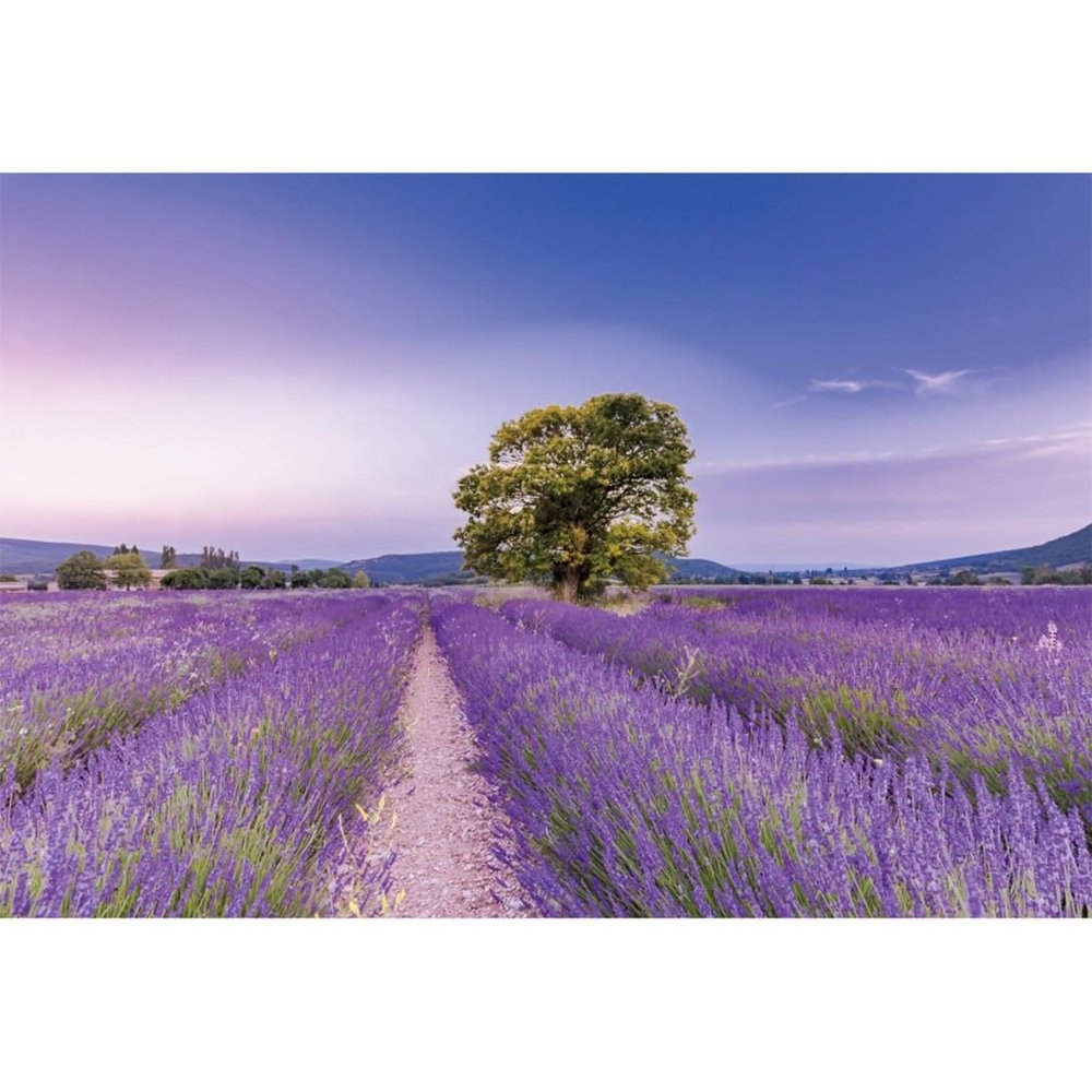 Xiaoterna 4.5 x 3 m Lavender Manor House Photography Backdrop